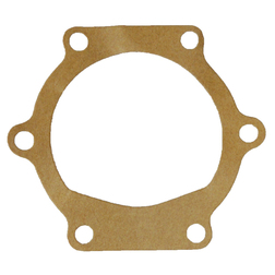 Jabsco 10817-0000 Face Plate Gasket