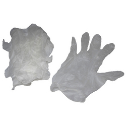 Disposable Vinyl Gloves - Pack of 10