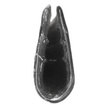 Chrome Semi-rigid Edging Trim Profile