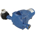 Whale Watermaster Automatic Fresh Water Pressure Pump