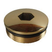 Toilet Pump Out Deck Fitting Brass Cap