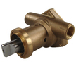 Jabsco 29300-2801C Engine Water Pump