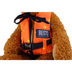 Teddy Bear Buoyancy Aid Lifejacket Close Up