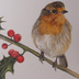 Festive Robin Christmas Card