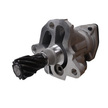 WaterMota Oil Pump