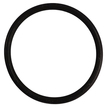 WaterMota Oil Pump Cover Plate O-ring