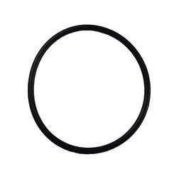 Jabsco Pumpgard Large Bowl O-Ring